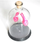 膈肌運(yùn)動模擬器